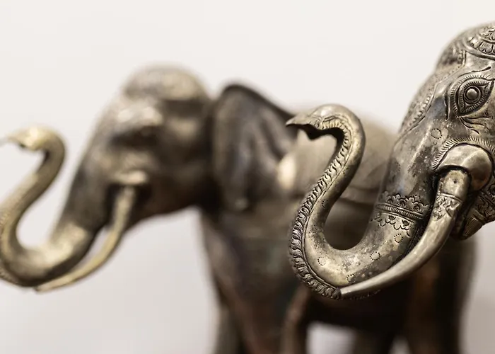 Resort Shintana Saya 5*